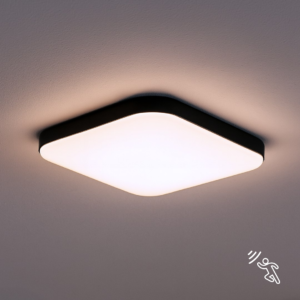 PLAFON NEMO BLACK 16W PIR Milagro