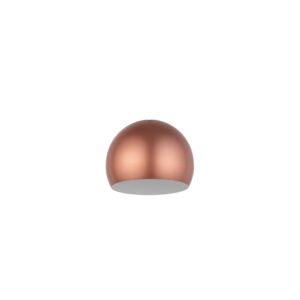 CAMELEON CANDY Nowodvorski