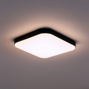 Plafon Nemo Czarny 11W LED Milagro