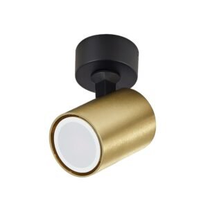 Reflektor Spot Snow 1 złoty 1xGU10 Light Prestige